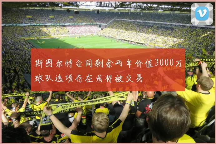 斯图尔特合同剩余两年价值3000万球队选项存在或将被交易